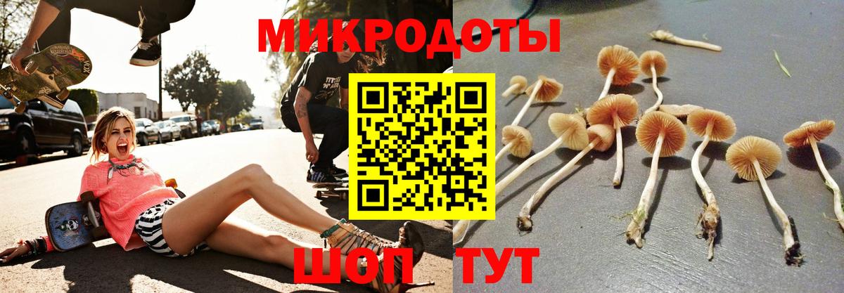 Псилоцибиновые грибы мицелий  Вход с VPN  Галлюциногенные грибы Cubensis  Краснознаменск 